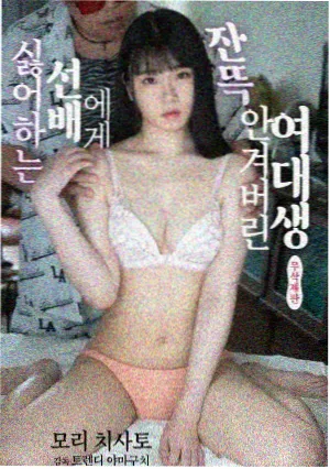 山海食堂剧集封面